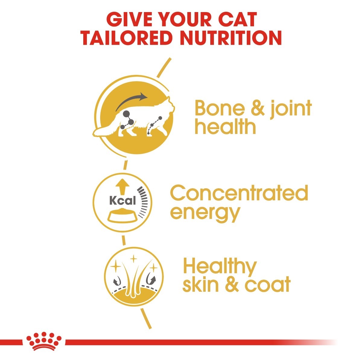 Royal Canin Maine Coon Pouches Adult Cat Food - Targa Pet Shop