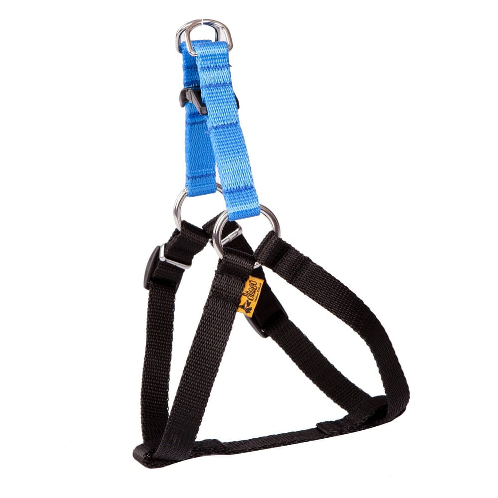 Dingo Energy Harness - Targa Pet Shop
