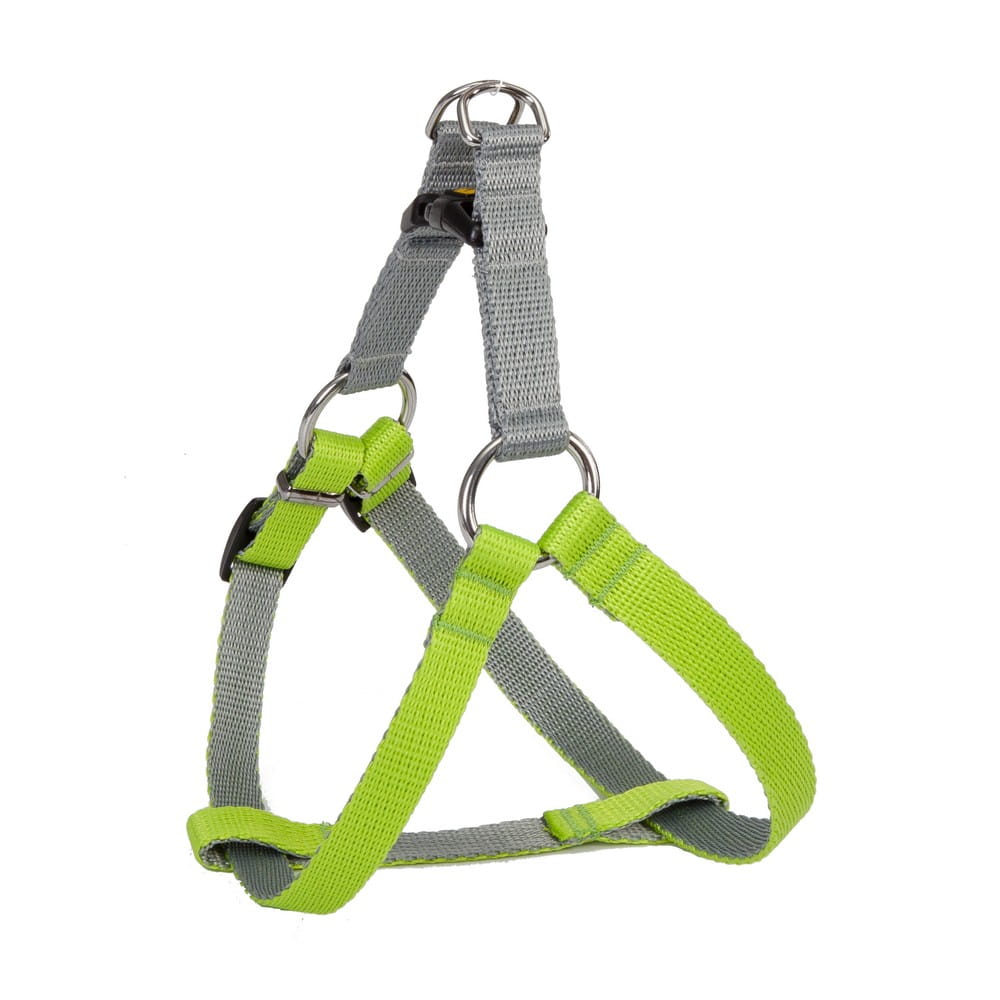 Dingo Silver Energy Harness - Targa Pet Shop