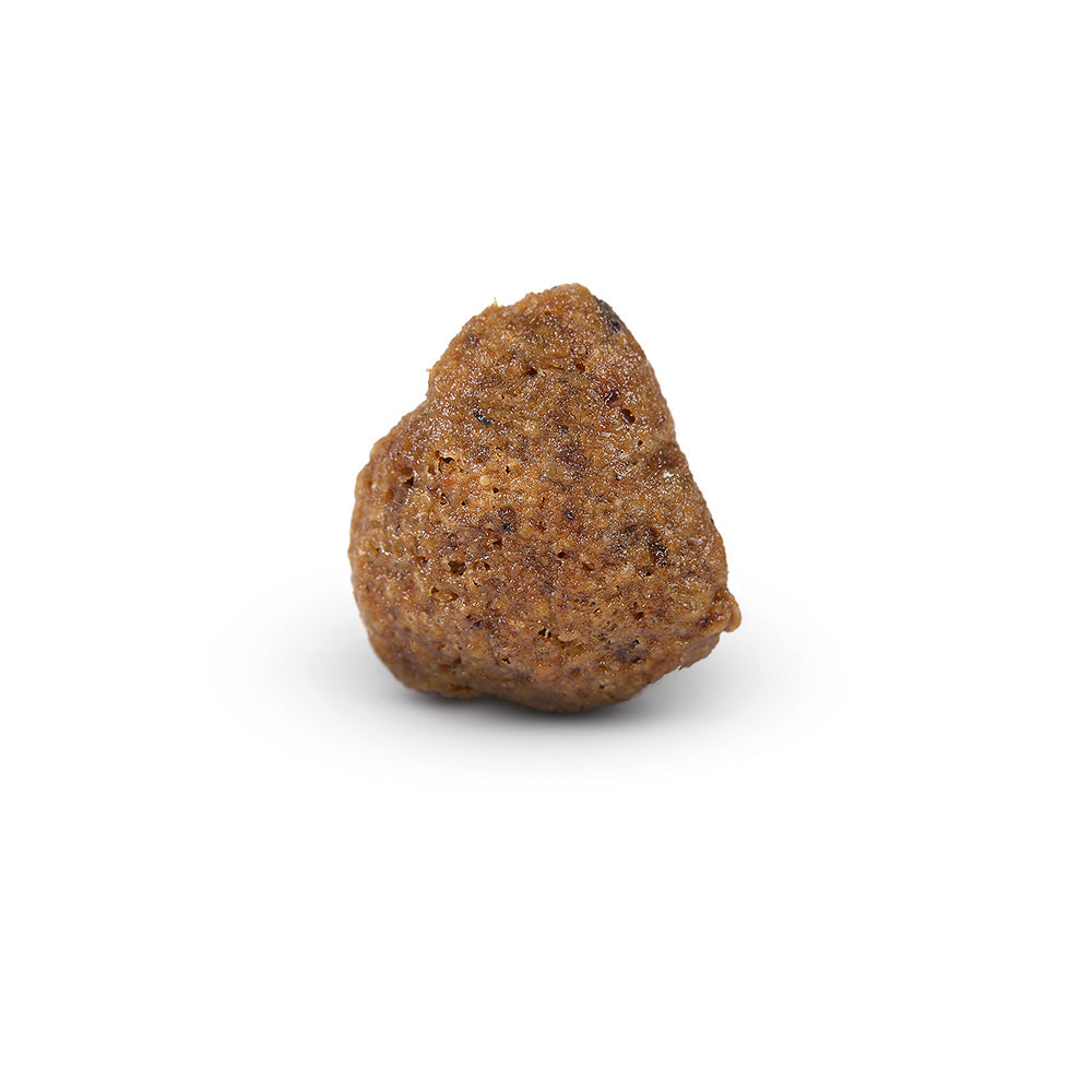 Arden Grange Sensitive Mini Adult - Grain Free - Ocean White Fish & Potato