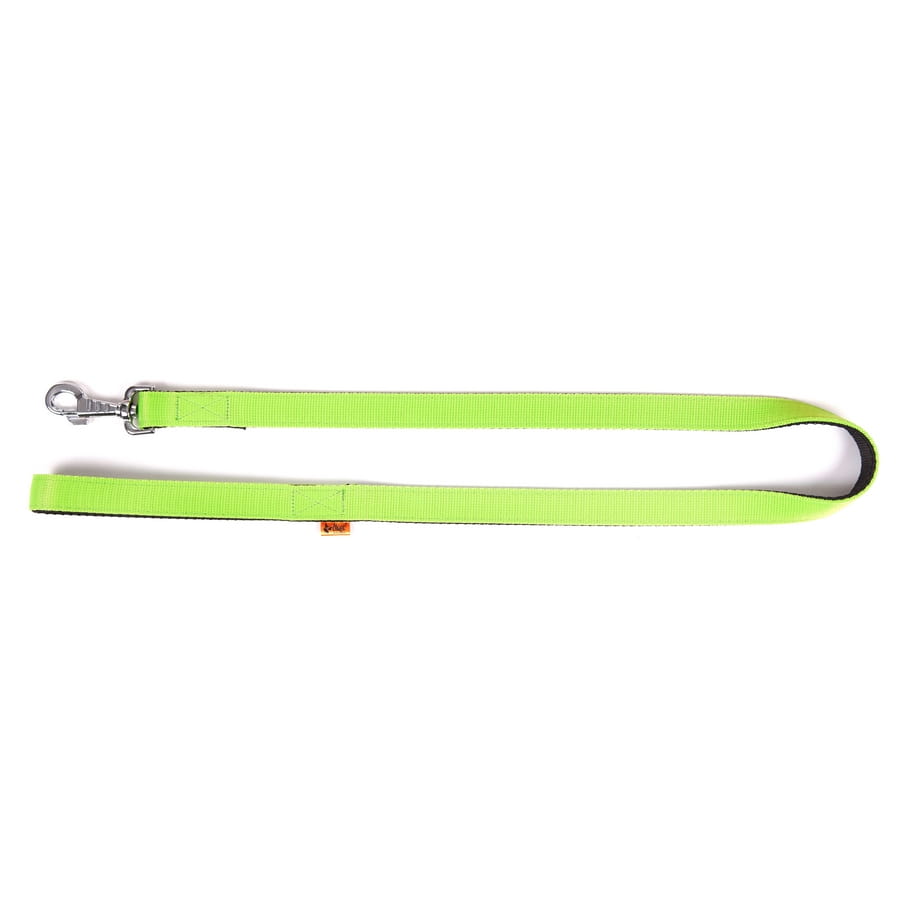 Dingo Energy Leash - Targa Pet Shop