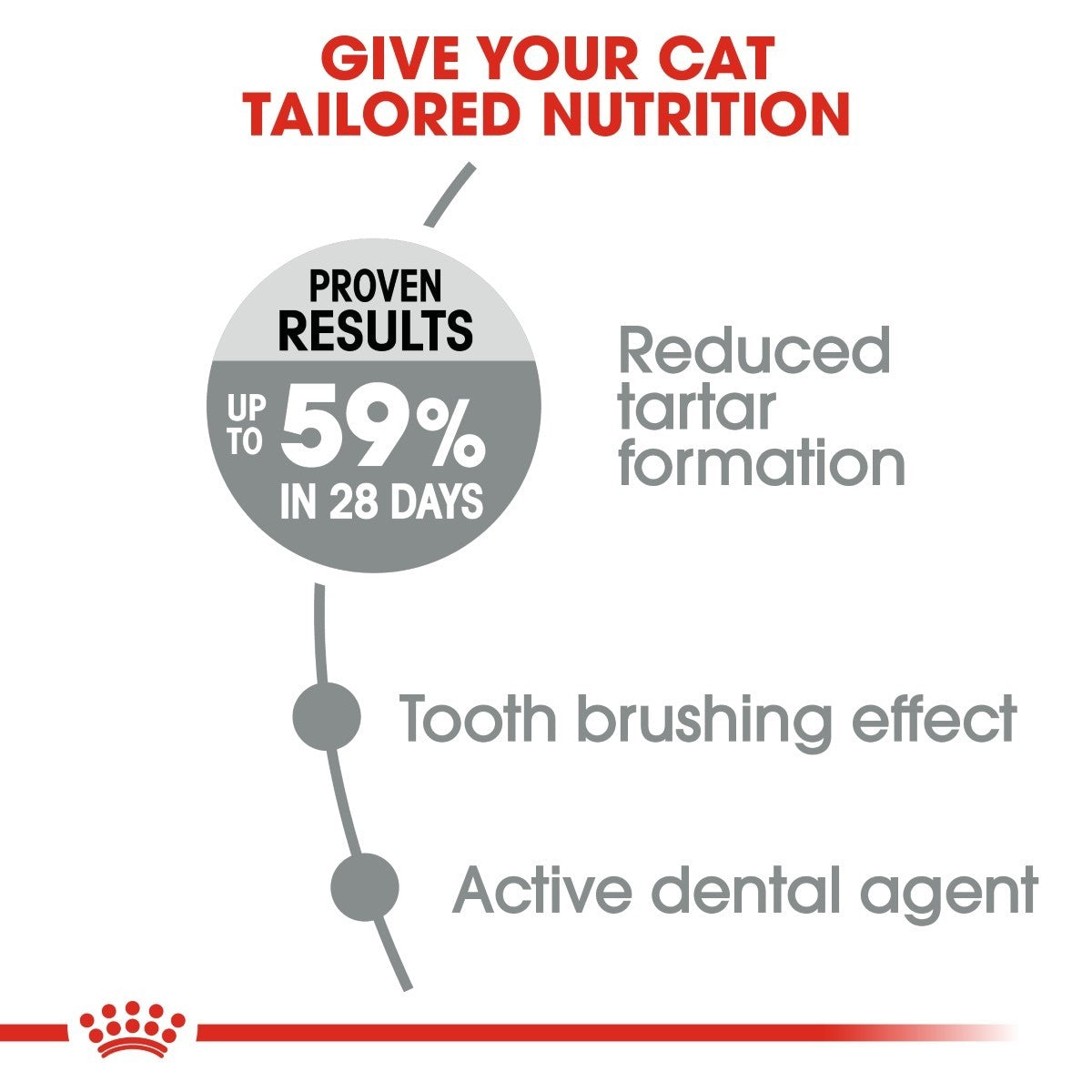 Royal Canin Oral Care Adult Cat Food - Targa Pet Shop