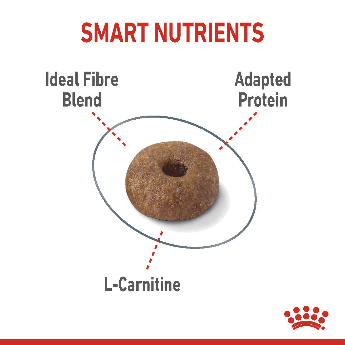 Royal Canin Light Weight Care Adult Cat Food - Targa Pet Shop