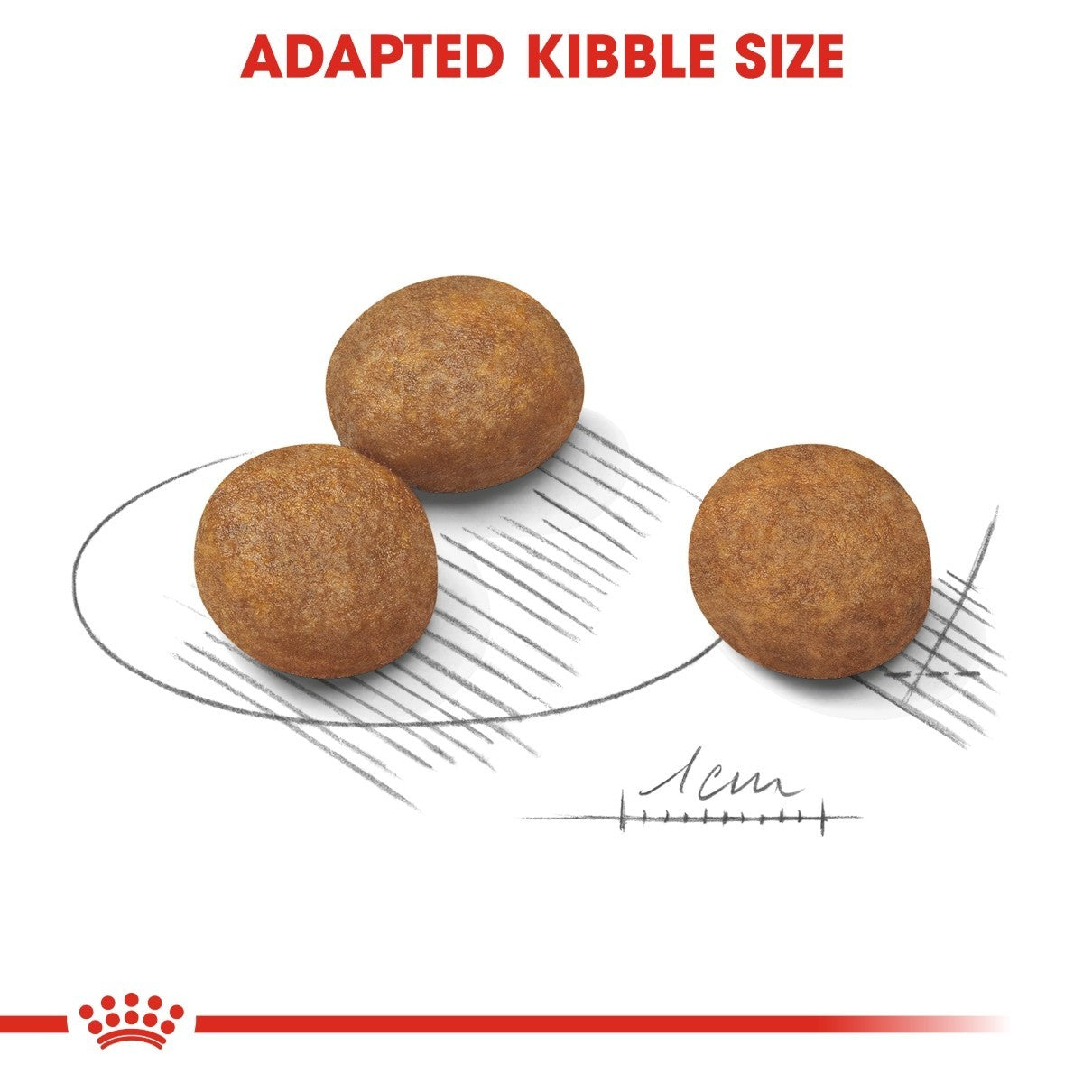 Royal Canin Maxi Puppy Dry Dog Food - Targa Pet Shop