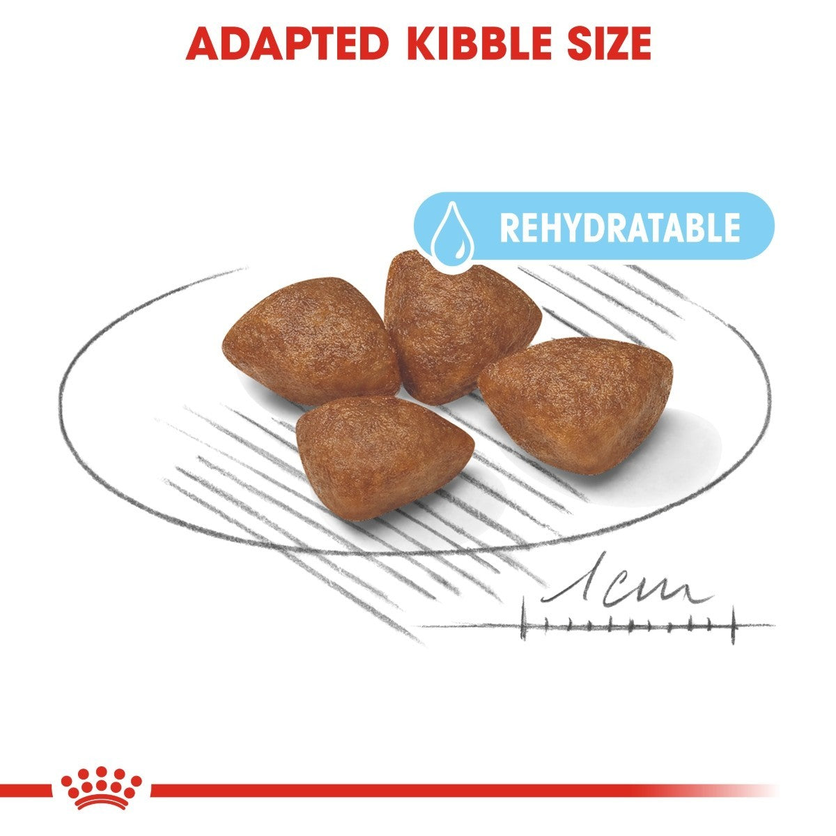 Royal Canin Mini Starter Mother & Baby - Targa Pet Shop