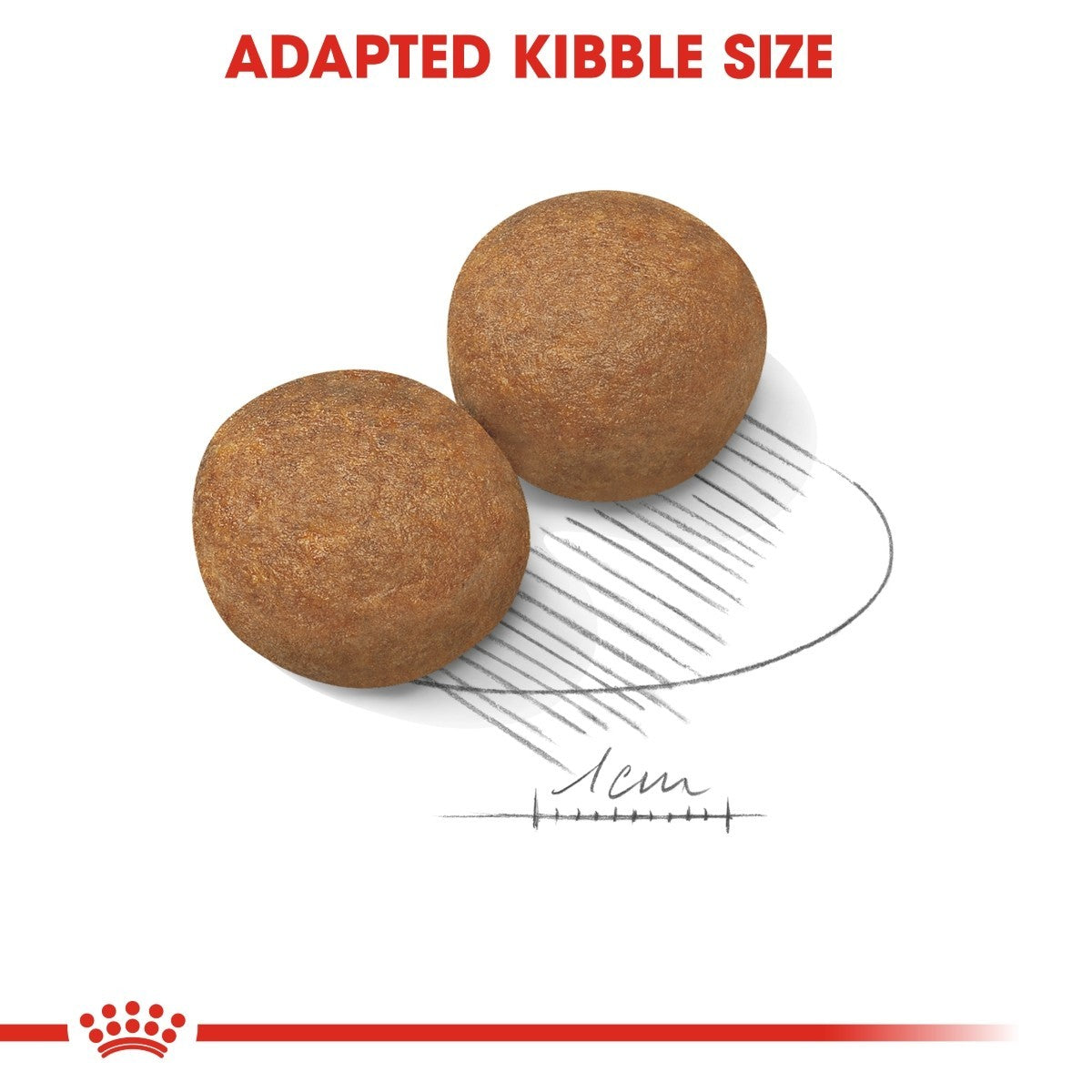 Royal Canin Maxi Adult Dry Dog Food - Targa Pet Shop