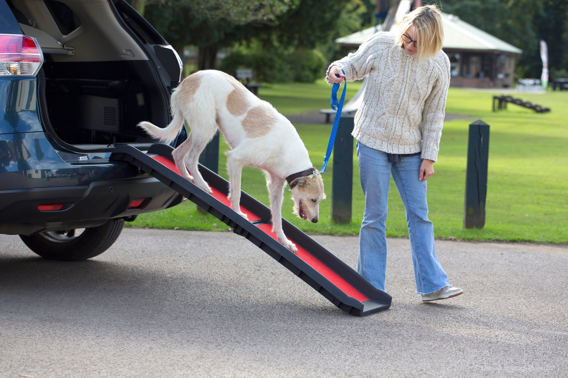 Henry Wag Dog Ramp - Targa Pet Shop