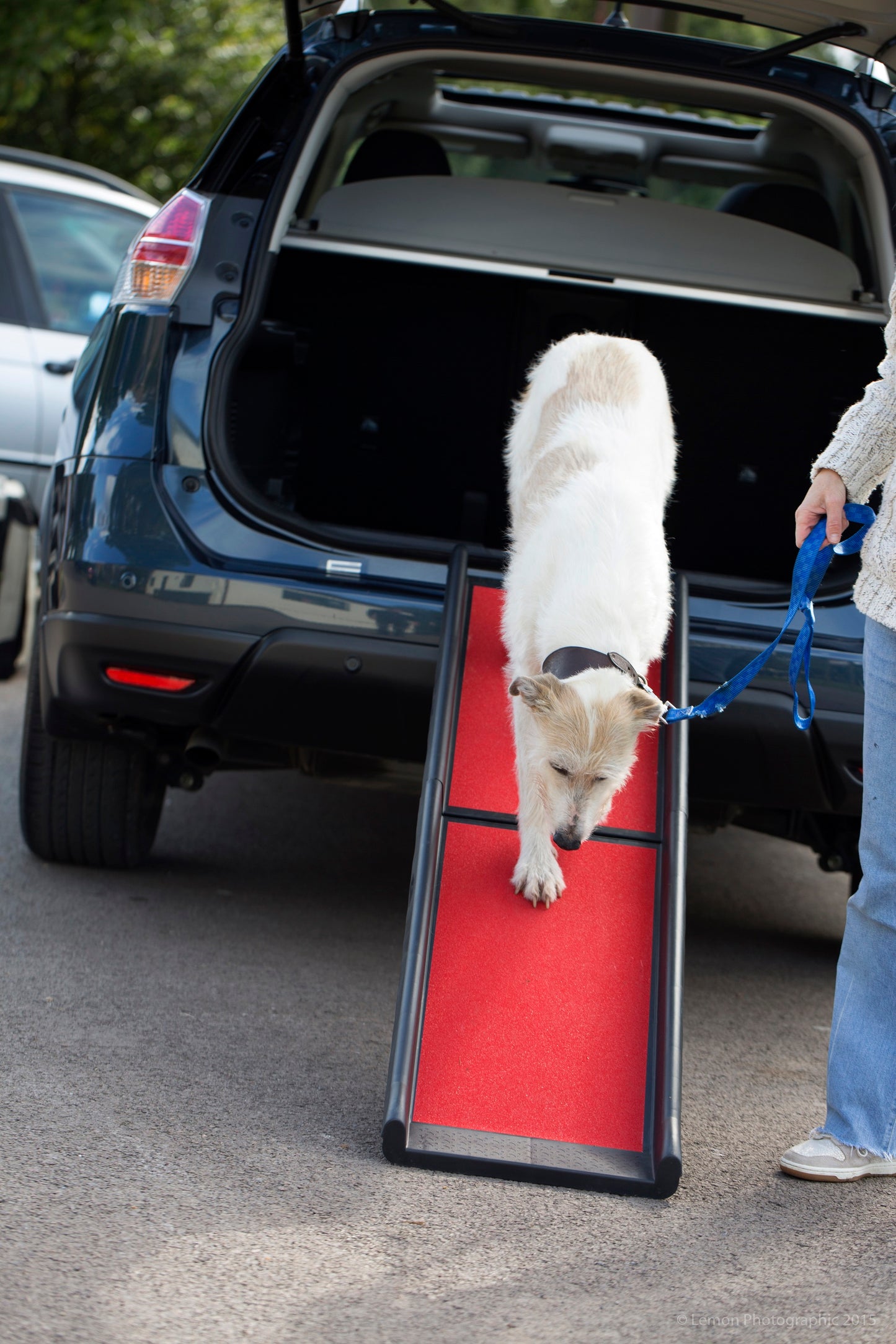 Henry Wag Dog Ramp - Targa Pet Shop