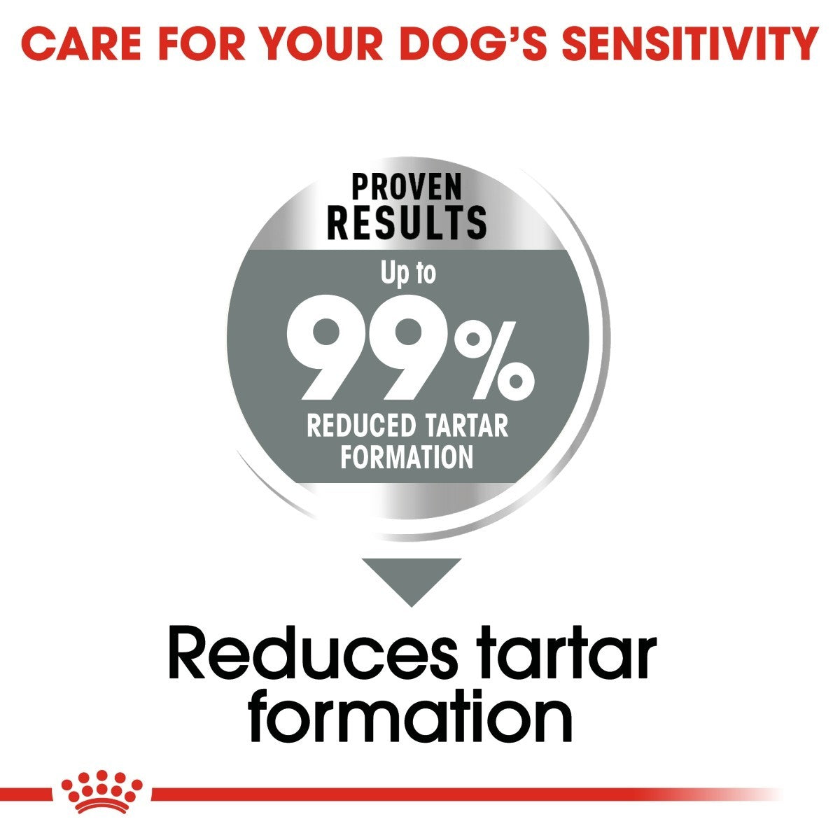 Royal Canin Medium Dental Care Dry Dog Food - Targa Pet Shop