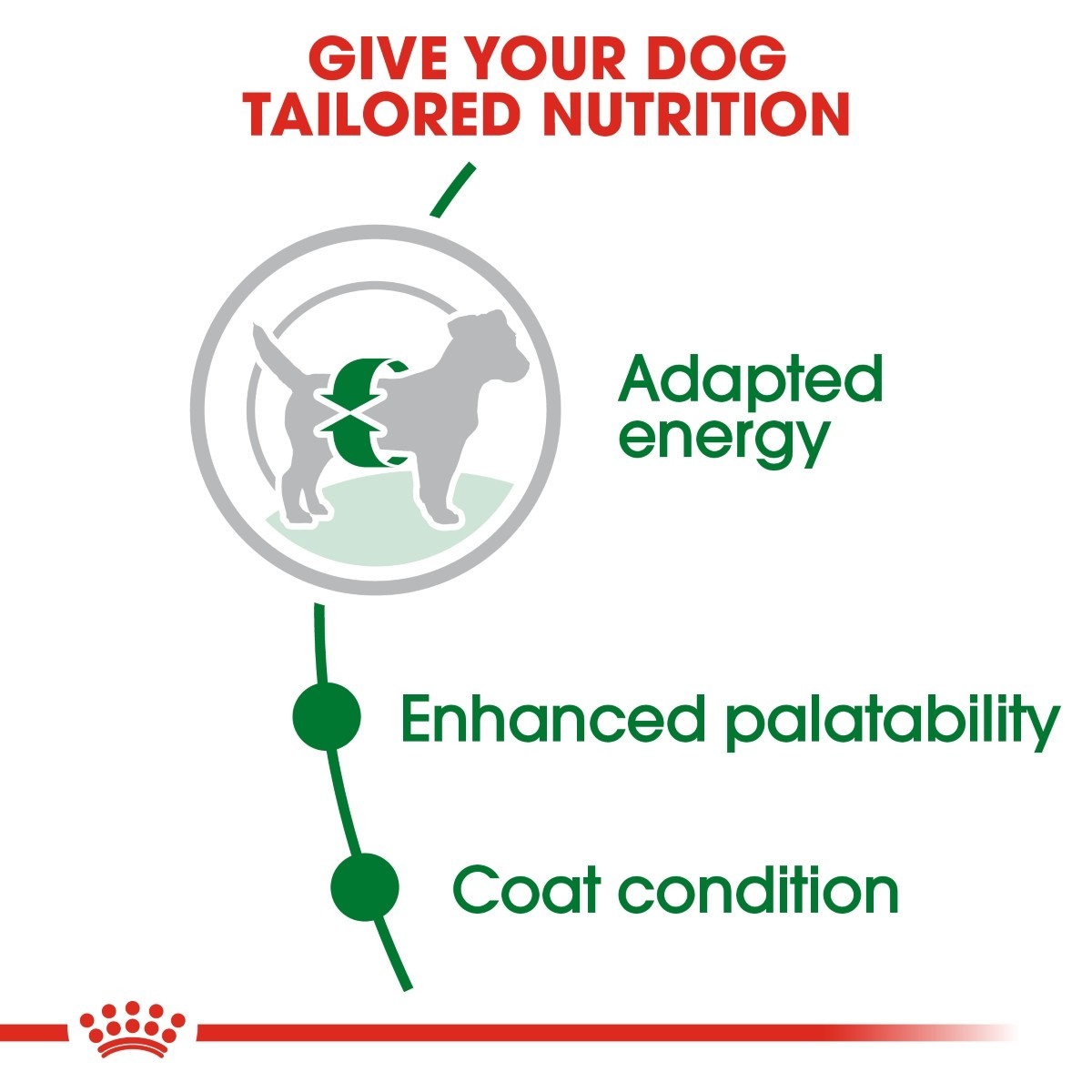 Royal Canin Mini Adult Dry Food - Targa Pet Shop