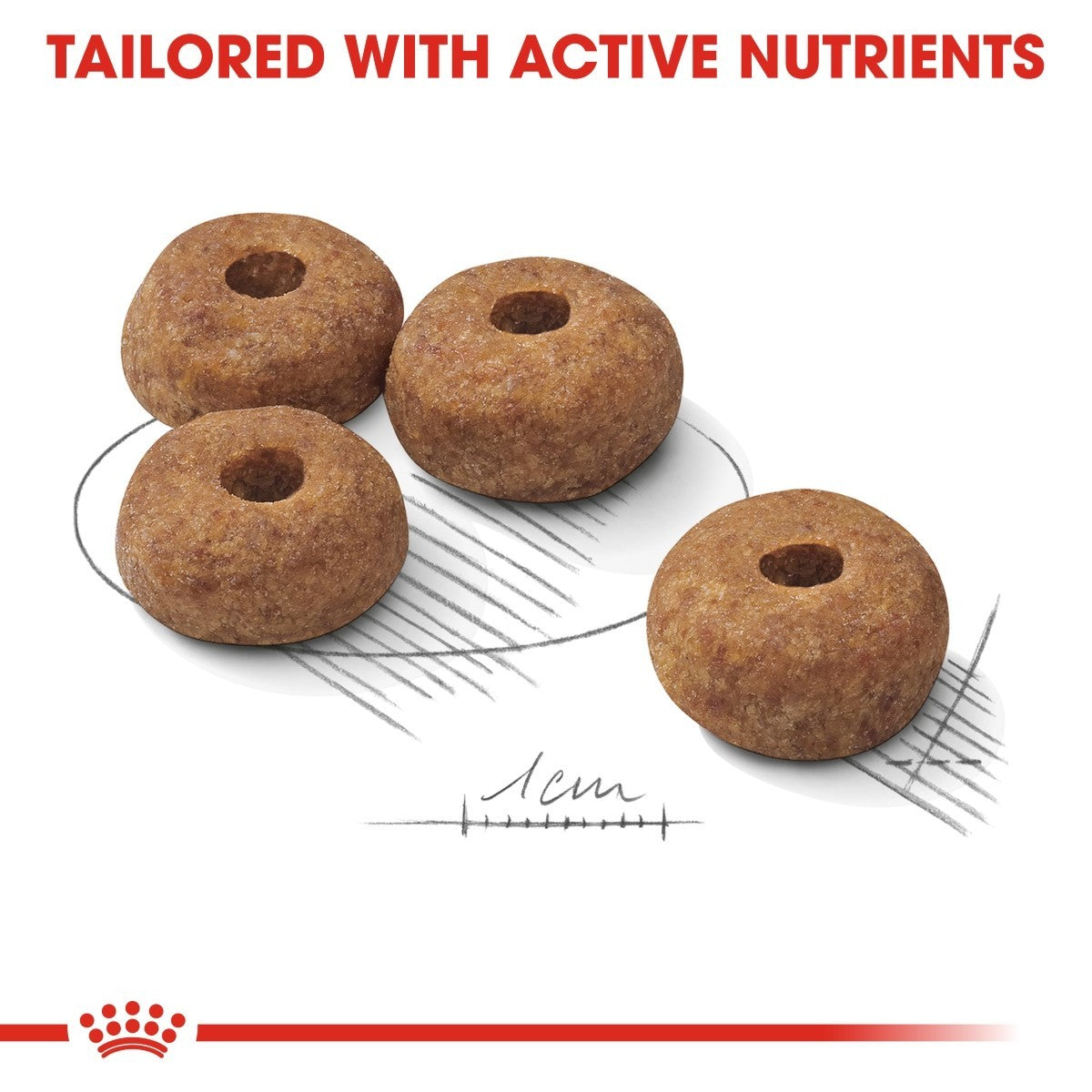 Royal Canin Medium Sterilised Care Dry Dog Food - Targa Pet Shop