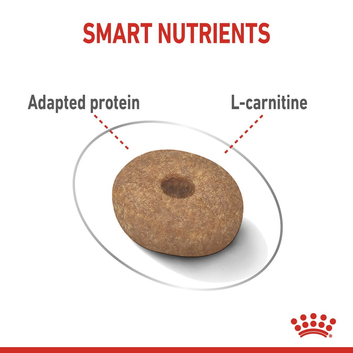 Royal Canin Mini Light Weight Care Dry Dog Food - Targa Pet Shop