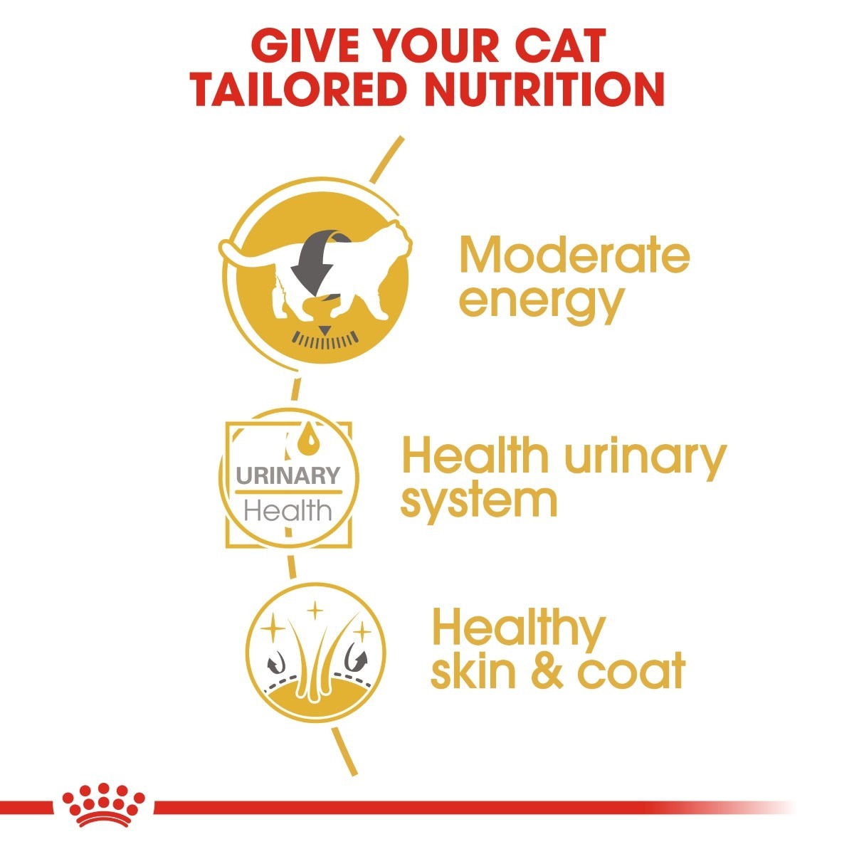 Royal Canin British Shorthair Pouches Adult Cat Food - Targa Pet Shop
