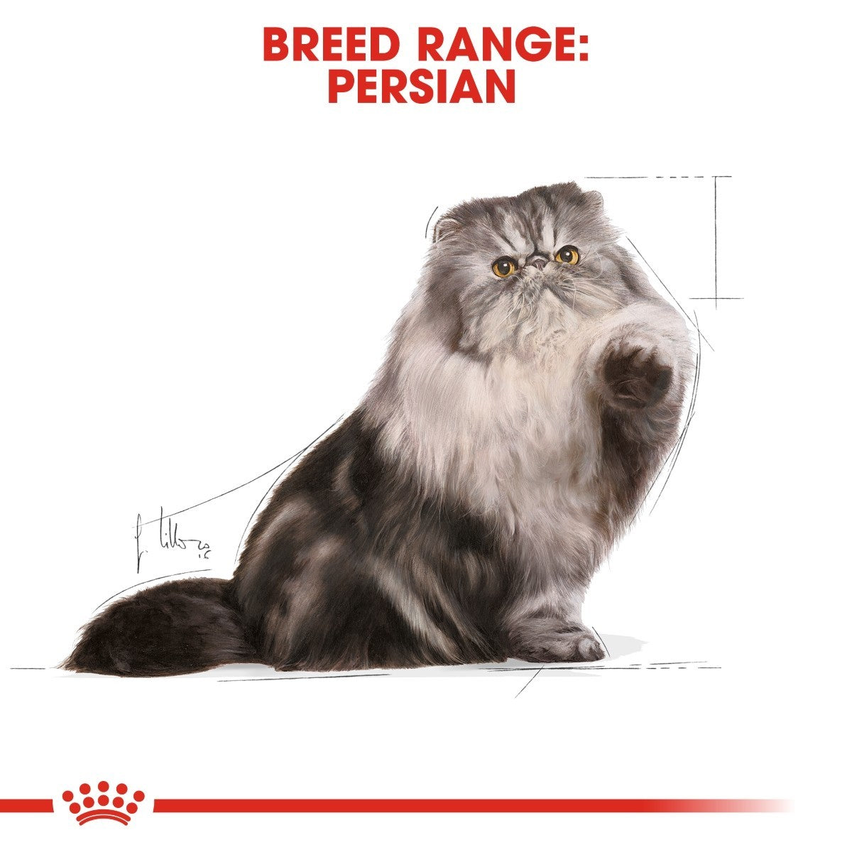 Royal Canin Persian Pouches Adult Cat Food - Targa Pet Shop