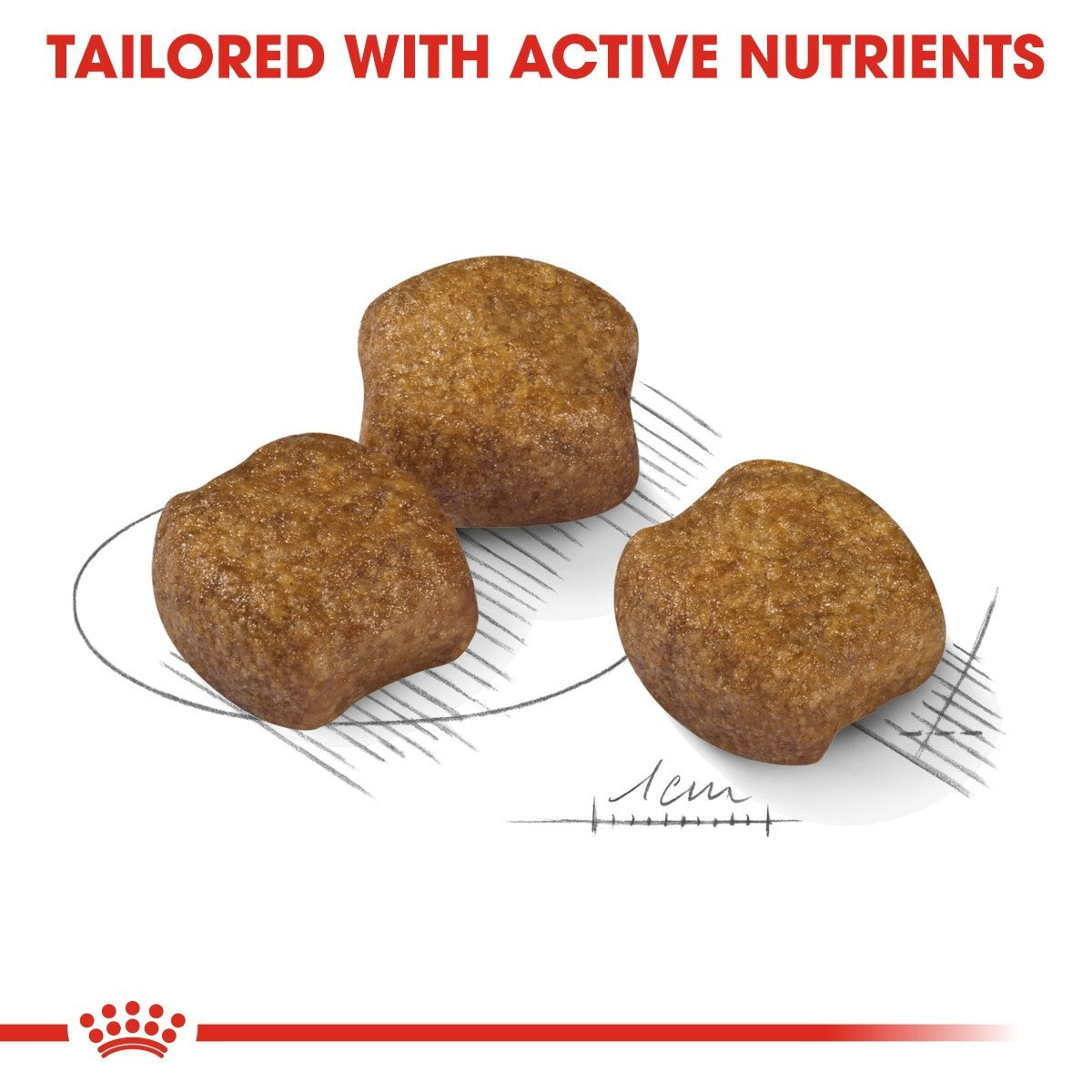 Royal Canin Medium Dental Care Dry Dog Food - Targa Pet Shop