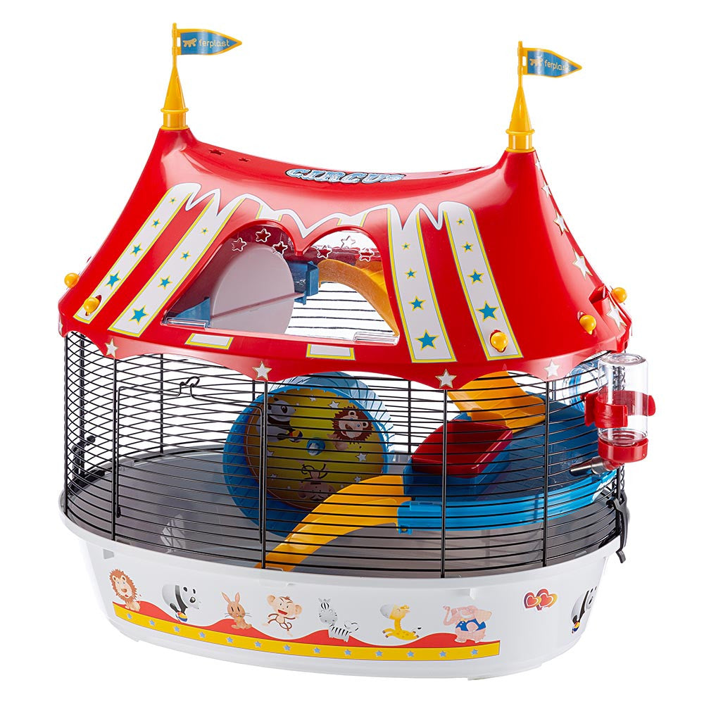 Flea circus pet outlet supplies