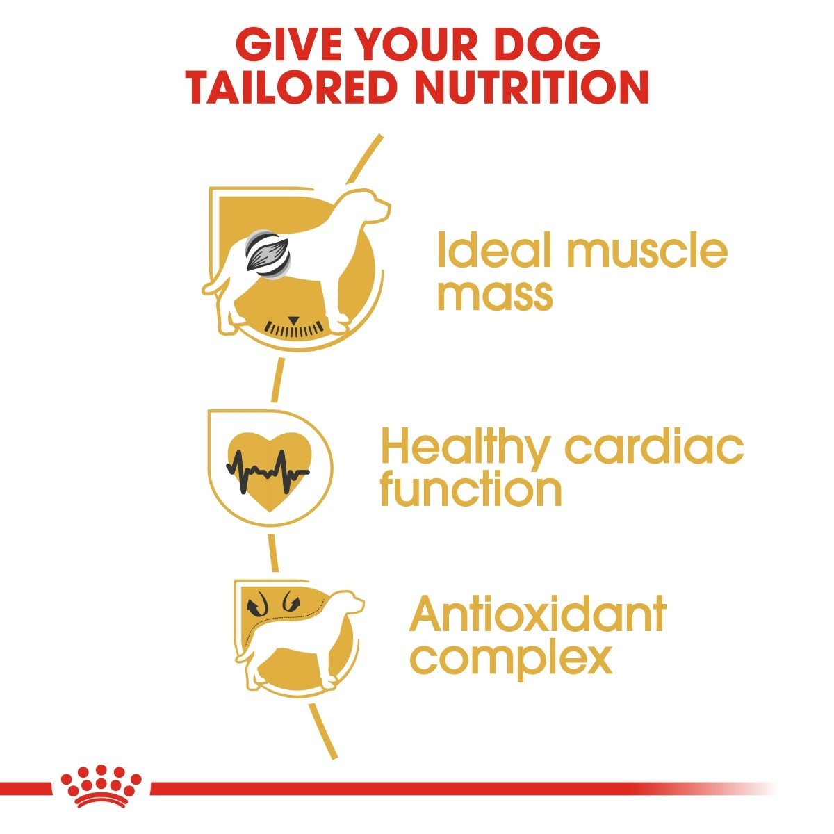Royal Canin Boxer Dry Adult Dog Food - Targa Pet Shop