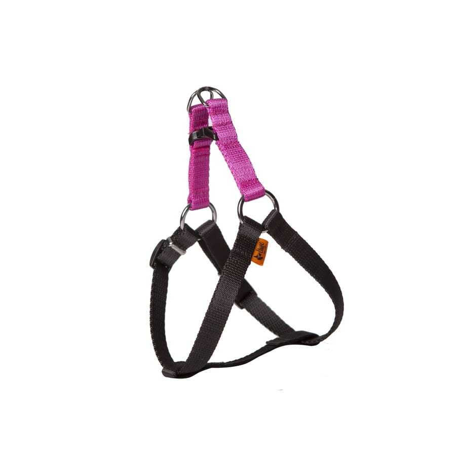 Dingo Energy Harness - Targa Pet Shop