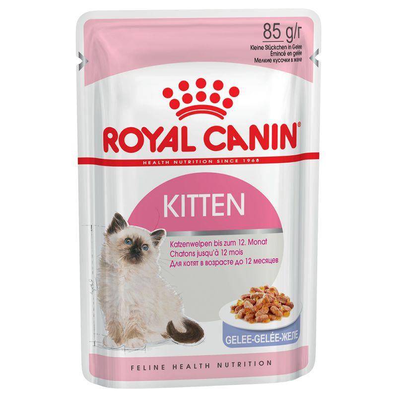 Royal Canin Pouches in Jelly Kitten Food - Targa Pet Shop