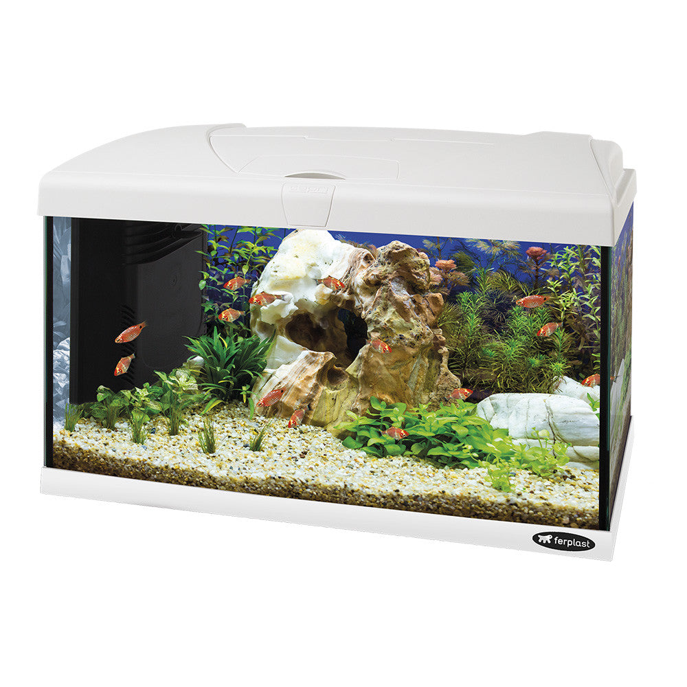 Ferplast Capri 60 - Targa Pet Shop