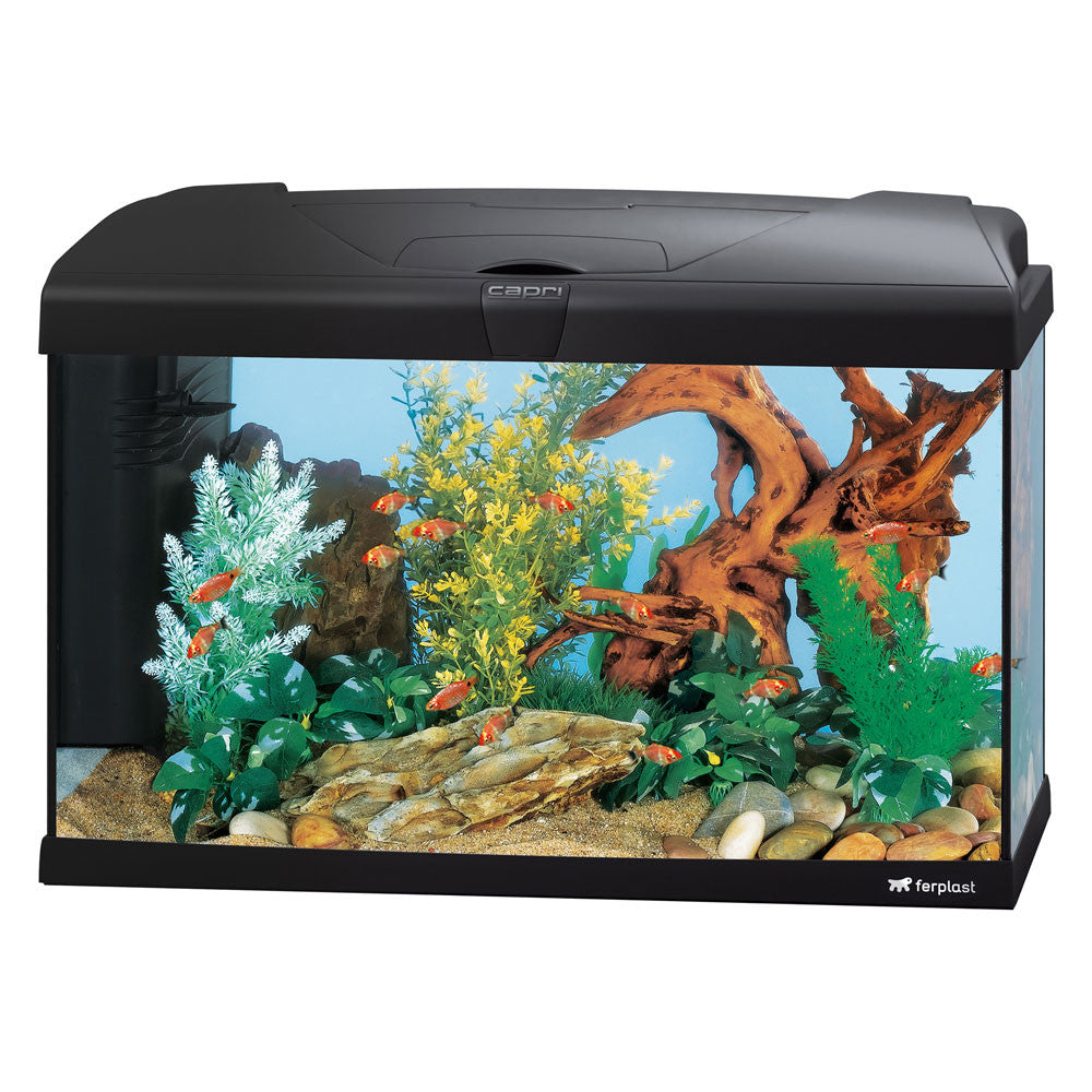 Ferplast Capri 60 - Targa Pet Shop