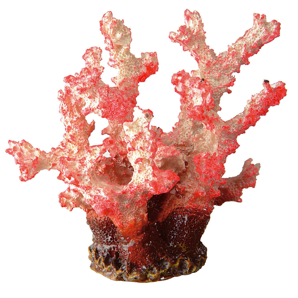 Ferplast Blu 9133 - Targa Pet Shop