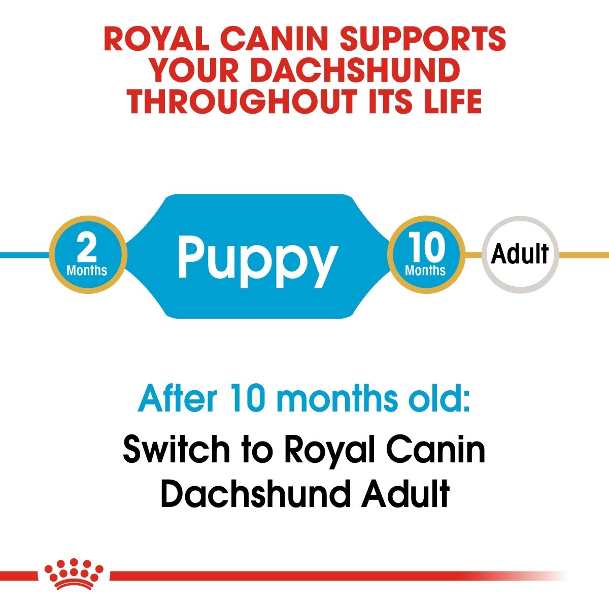 Royal Canin Dachshund Puppy Food - Targa Pet Shop