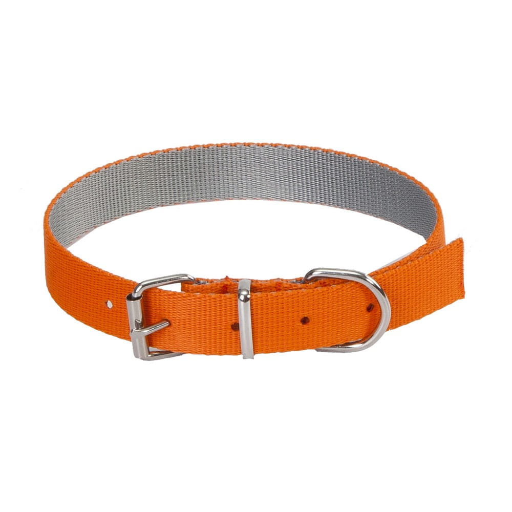 Dingo Energy Silver Collar - Targa Pet Shop