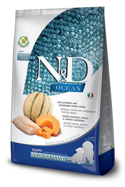 Farmina N&D Ocean Puppy Medium & Maxi Cod, Pumpkin & Cantelope