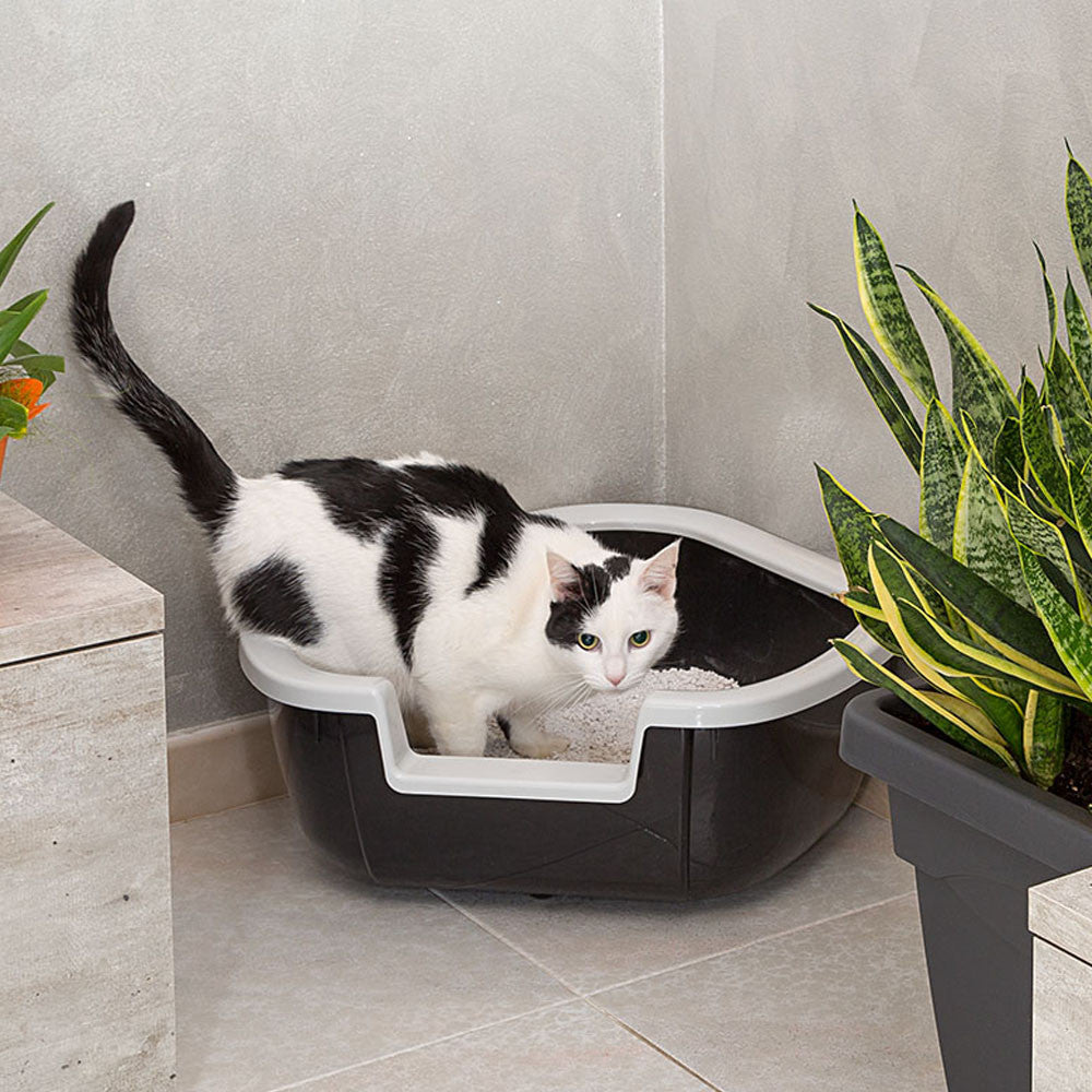 Ferplast Dama - Targa Pet Shop