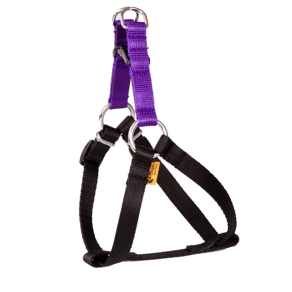 Dingo Energy Harness - Targa Pet Shop