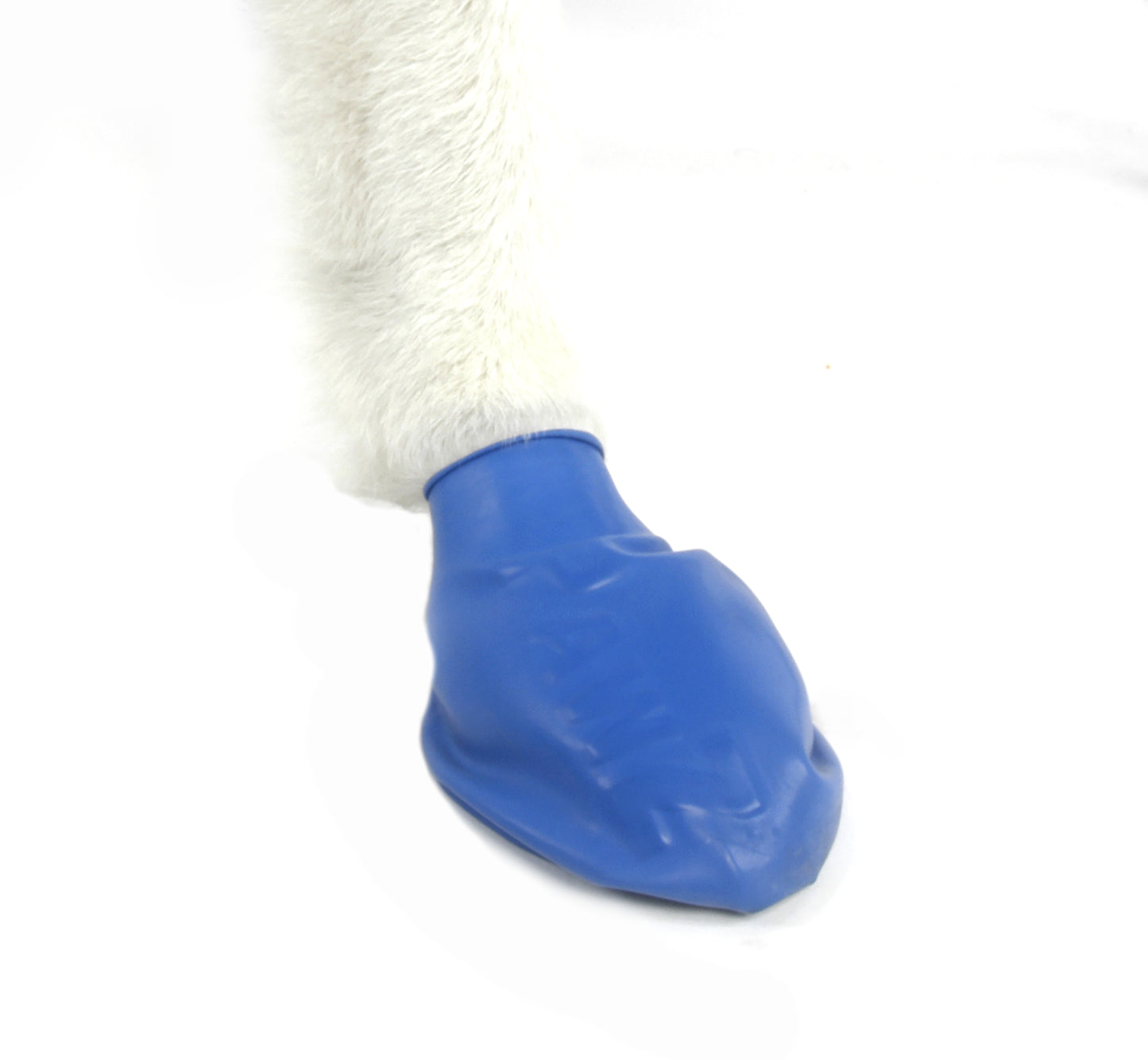 PAWZ Medium Size Rubber Boots