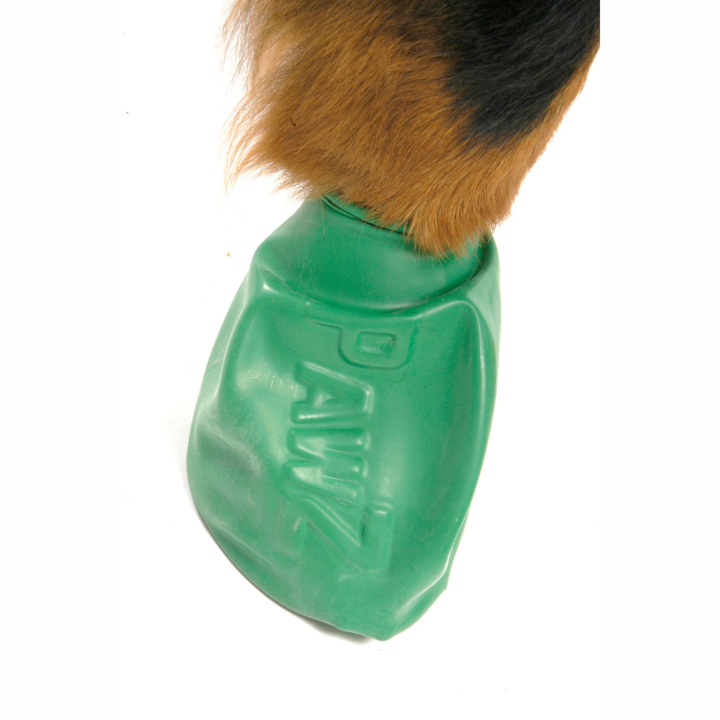 PAWZ X Large Size Rubber Boots