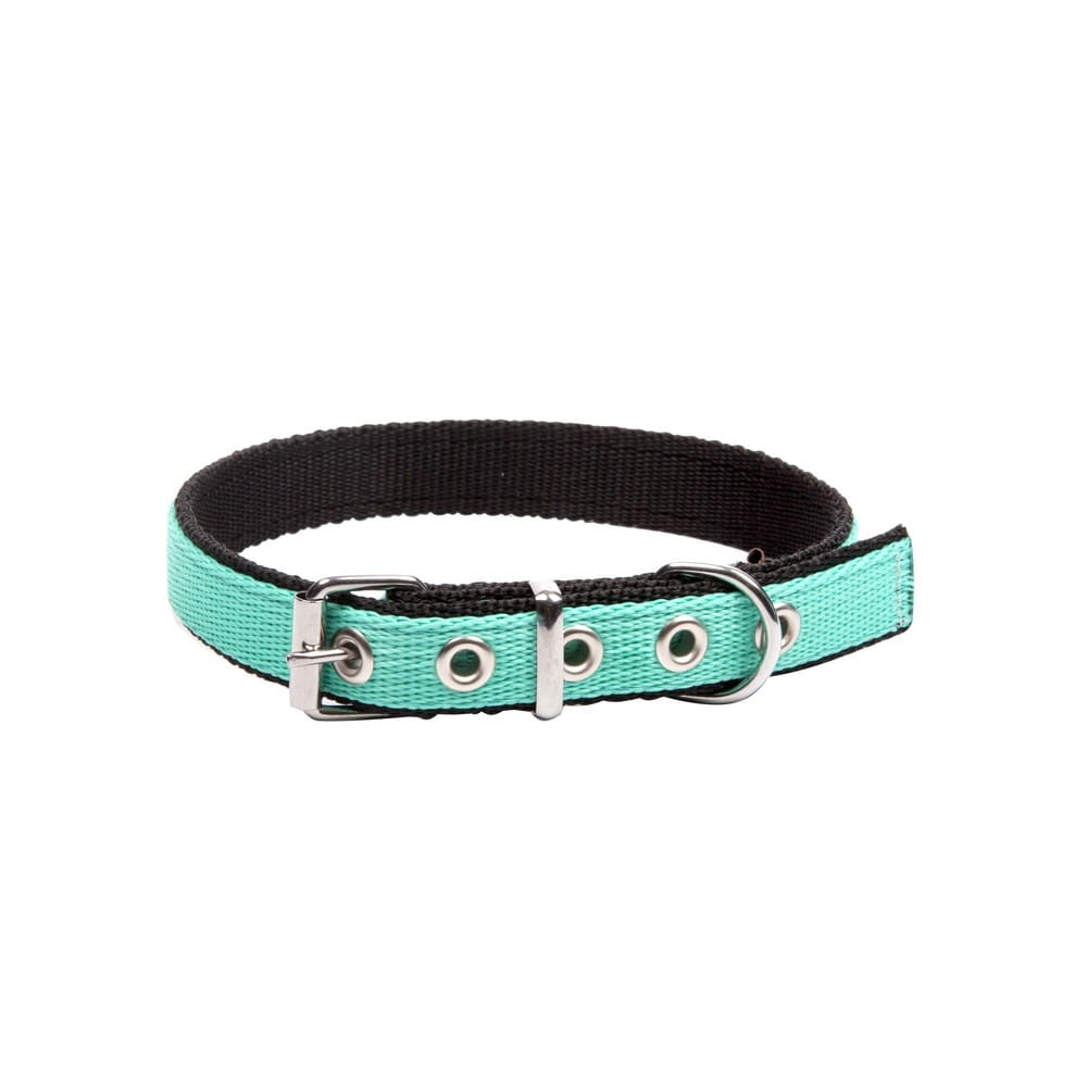 Dingo Energy Collar - Targa Pet Shop