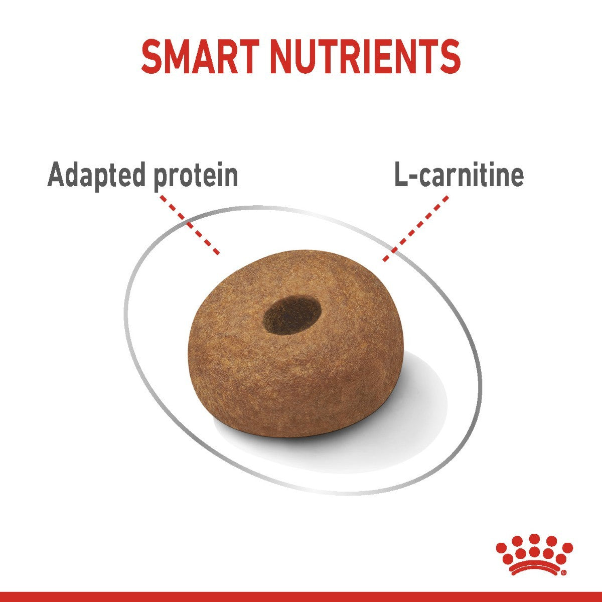 Royal Canin Maxi Light Weight Care Dry Dog Food - Targa Pet Shop