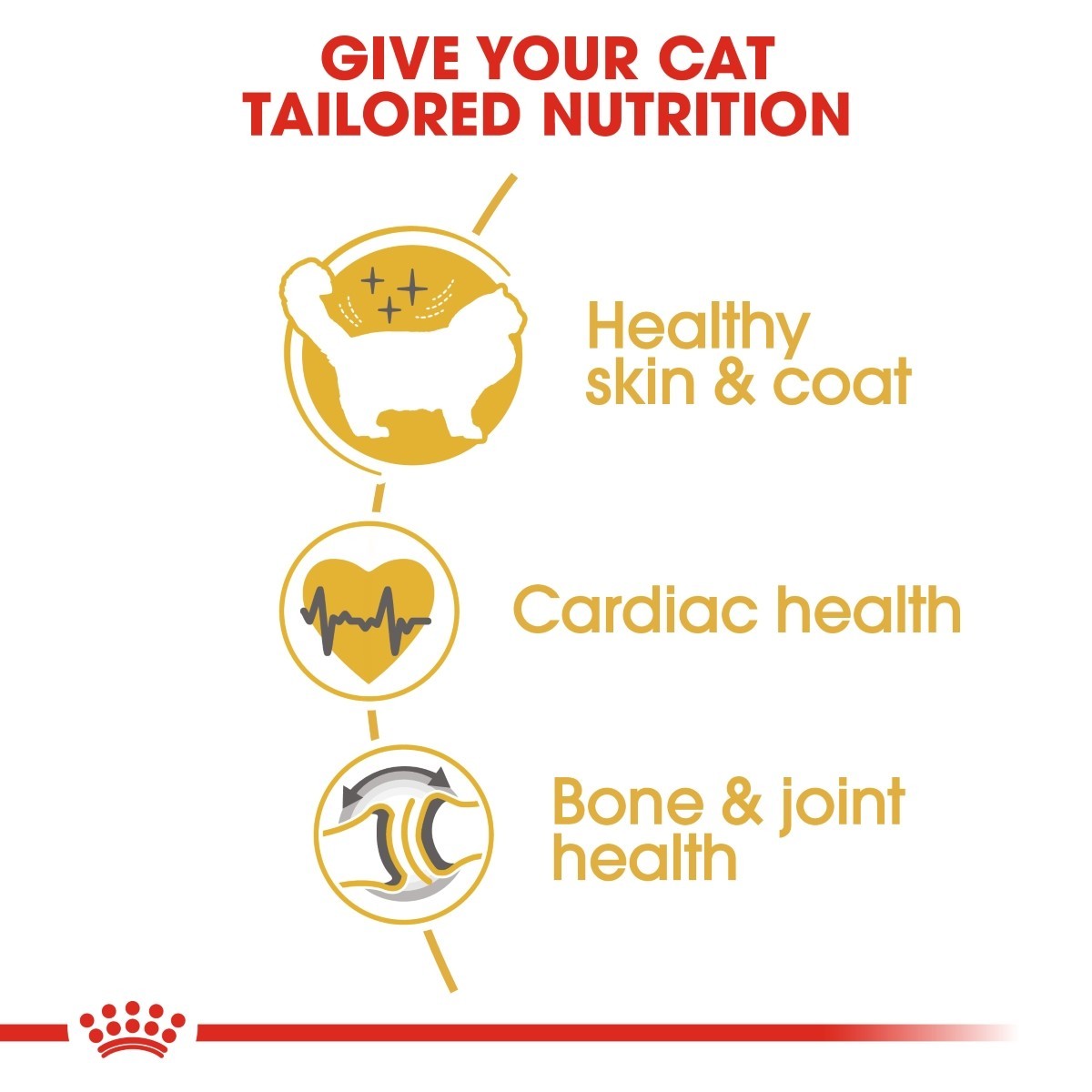 Royal Canin Ragdoll Adult Cat Food - Targa Pet Shop