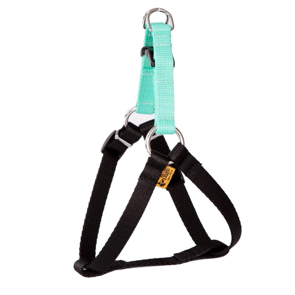 Dingo Energy Harness - Targa Pet Shop