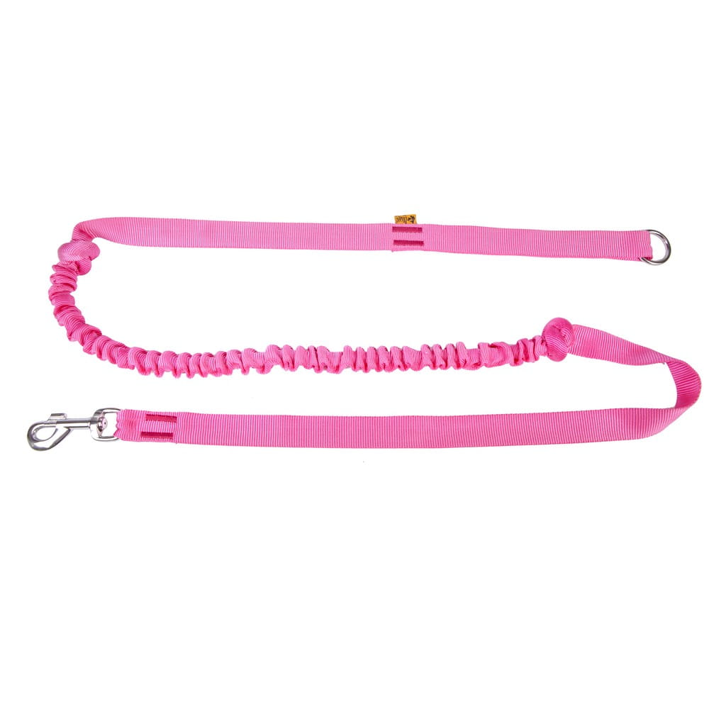 Dingo Bungee Leash