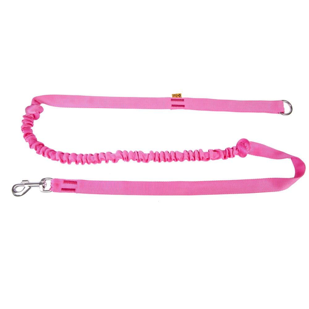Dingo Bungee Leash.