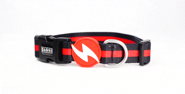 Dashi STRIPES³ Red & Black Collar