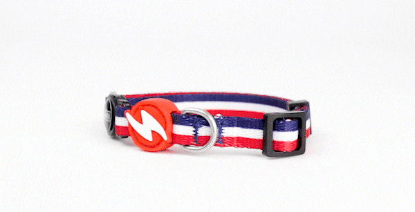 Dashi Stripes3 Red & Blue Cat Collar