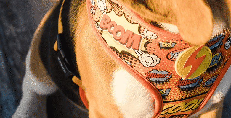 Dashi Boom Neo Mesh Harness