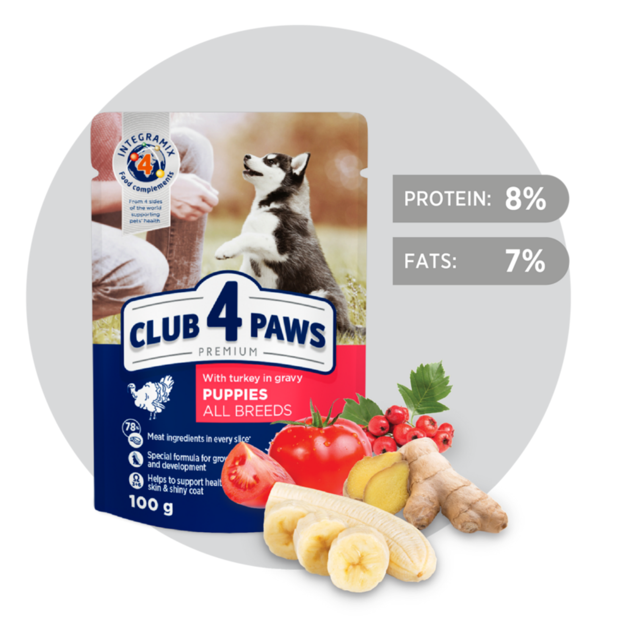 Club 4 best sale paws for puppies