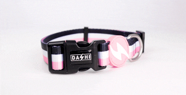 Dashi STRIPES³ Pink & Black Collar