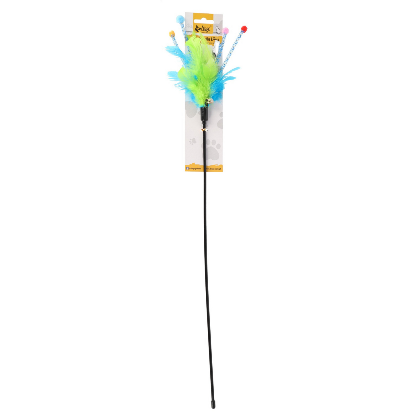 Dingo Cat Teaser Foxi