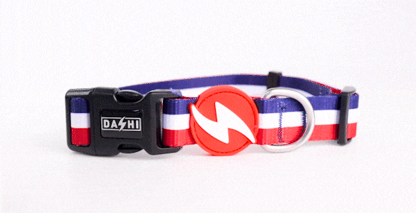 Dashi STRIPES³ Red & Blue Collar