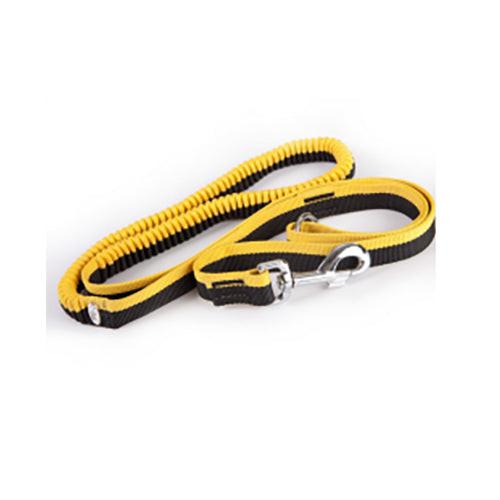 Dingo Bungee Leash.
