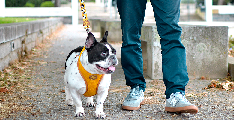 Dashi Snooze Neo Mesh Harness