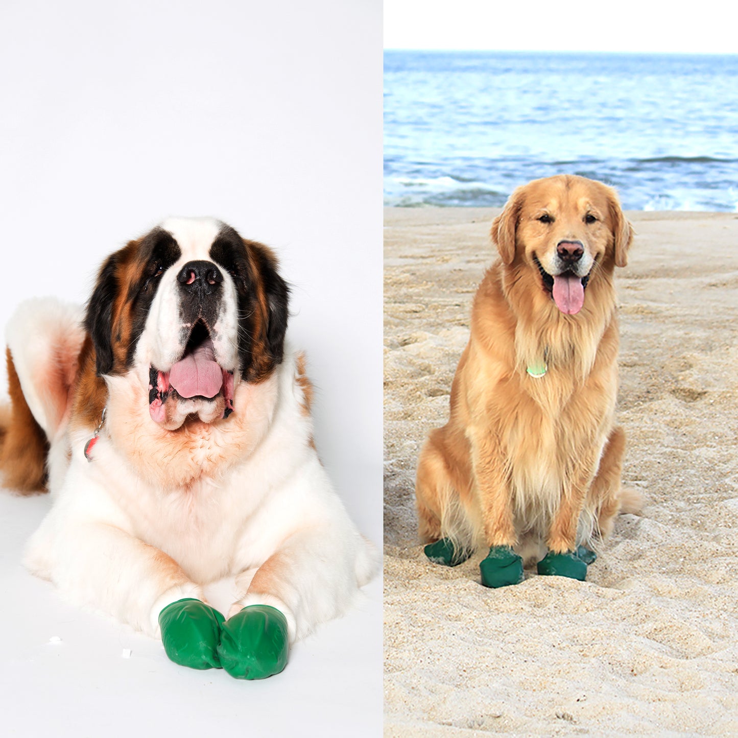 PAWZ X Large Size Rubber Boots