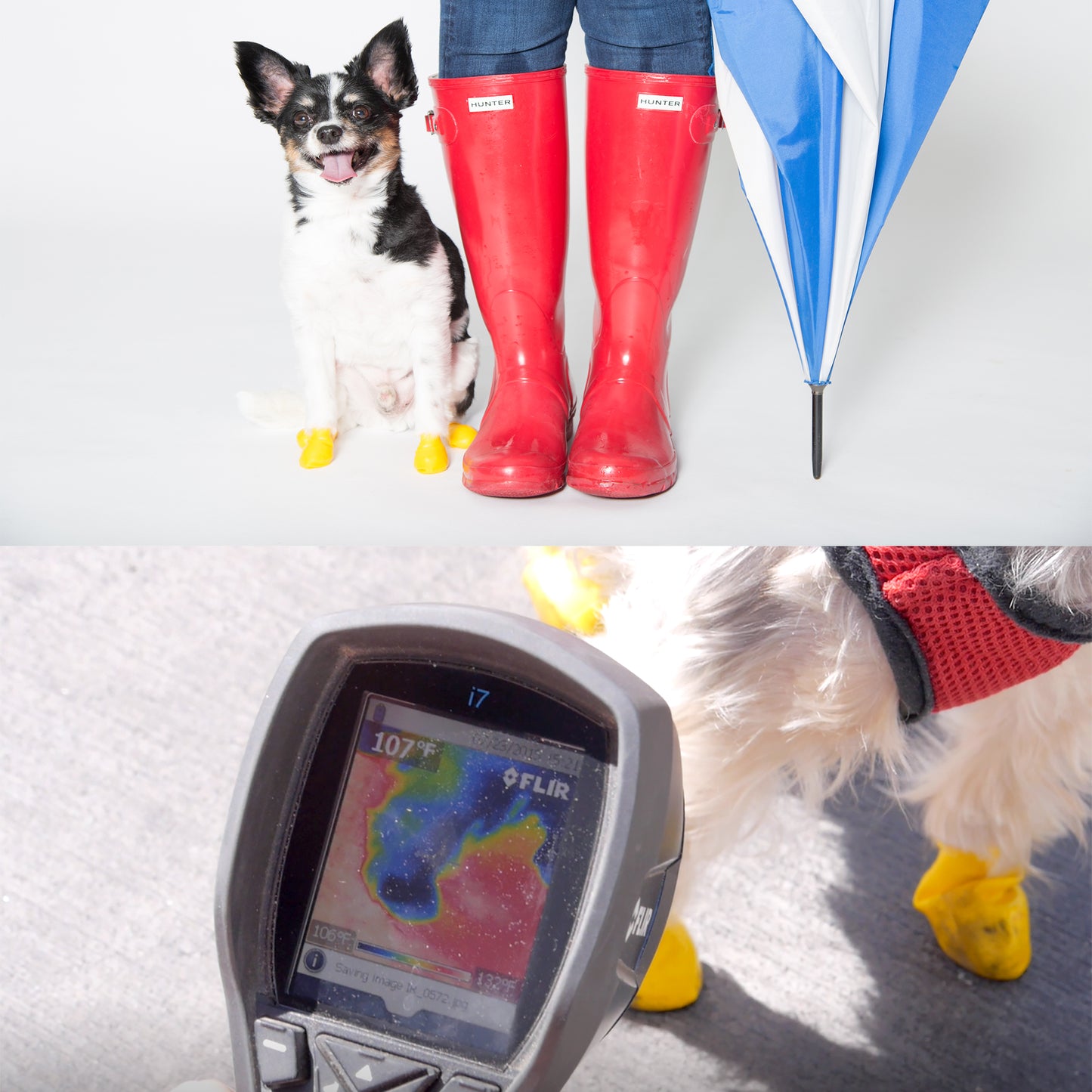 PAWZ XXS Size Rubber Boots